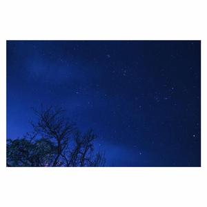 性少妇videosexfreeXXXX片
