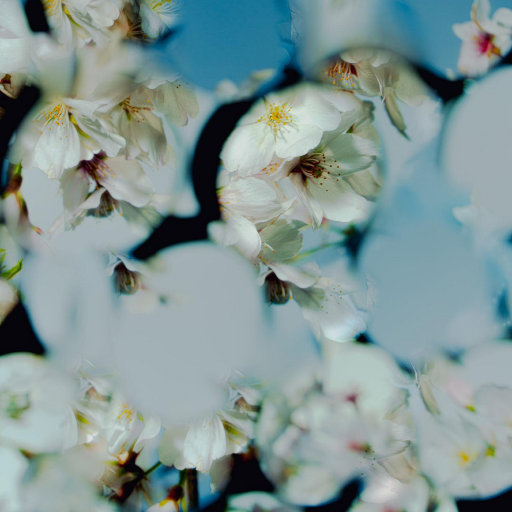 性少妇videosexfreeXXXX片
